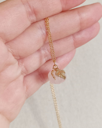 Collana Zucchetta
